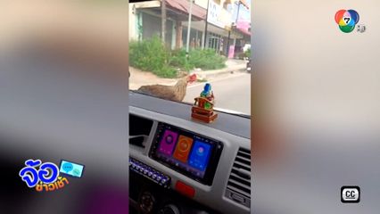 งงทั้งคัน แม่ไก่ขอติดรถเที่ยว