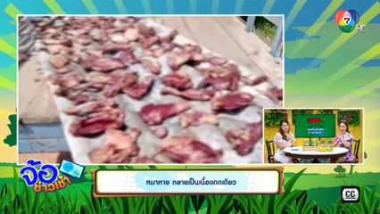 หมาหาย กลายเป็นเนื้อแดดเดียว