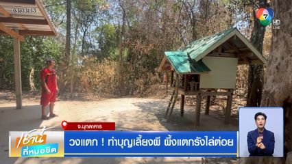 วงแตก ! ทำบุญเลี้ยงผี ผึ้งแตกรังไล่ต่อย