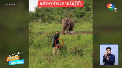 อย่าหาทำ ! ชายถือมีดป่วนช้างป่า