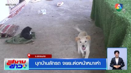 บุกบ้านลักรถ จยย. ต่อหน้าหมาเห่า