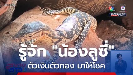 ลูซี่ ตัวเงินตัวทอง มาให้โชค