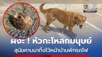 ผงะ ! หัวกะโหลกมนุษย์ สุนัขคาบมาทิ้งไว้หน้าบ้านพักรถไฟ เจ้าหน้าที่เร่งตรวจสอบหาที่มาศพ