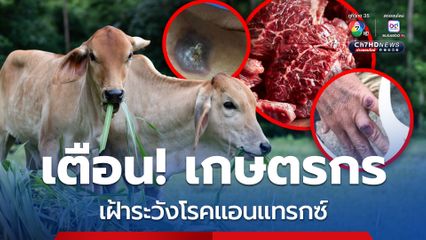 เตือนเกษตรกร เฝ้าระวังโรคแอนแทรกซ์  ปัจจุบันจากการเฝ้าระวังและค้นหาโรค ยังไม่พบสัตว์ป่วยตายผิดปกติ