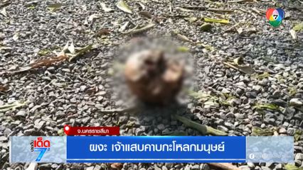 ผงะ เจ้าแสบคาบกะโหลกมนุษย์