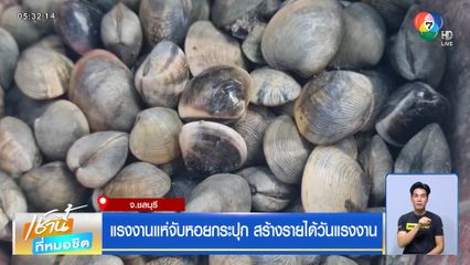 แรงงานแห่จับหอยกระปุก สร้างรายได้วันแรงงาน