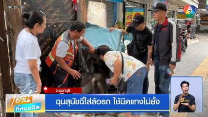 ฉุนสุนัขฉี่ใส่ล้อรถ ใช้มีดแทงไม่ยั้ง