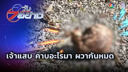 7 วัน 7 อย่าง : เจ้าแสบ คาบอะไรมา ผวากันหมด