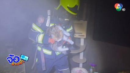 ช่วยชีวิตแมวรอดตาย จากเพลิงไหม้บ้าน