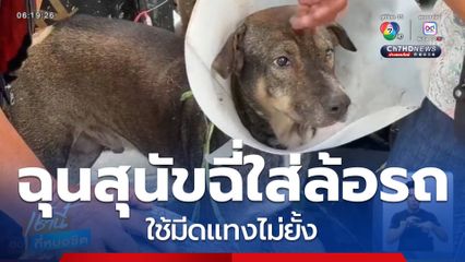 ฉุนสุนัขฉี่ใส่ล้อรถ ใช้มีดแทงไม่ยั้ง