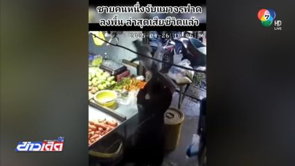 อบต.วังพญา แจงไม่พบเหตุชายฟาดแมว จ.ยะลา