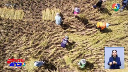 ลดราคาปุ๋ยกว่า 10 ล้านกระสอบ ช่วยเกษตรกร