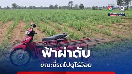 สลด ฟ้าผ่าเกษตรกรชาวไร่อ้อย ขณะขับรถไปดูไร่