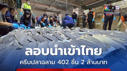 ยึดครีบปลาฉลาม 402 ชิ้น มูลค่า 2 ล้านบาท ลอบนำเข้าไทย สำแดงเป็น “DRY FISH”