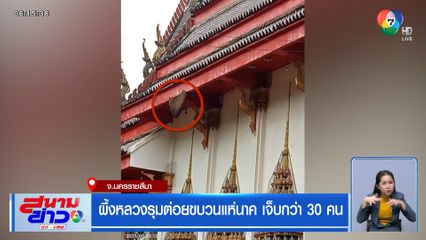 ผึ้งหลวงไล่รุมต่อยขบวนแห่นาค เจ็บกว่า 30 คน