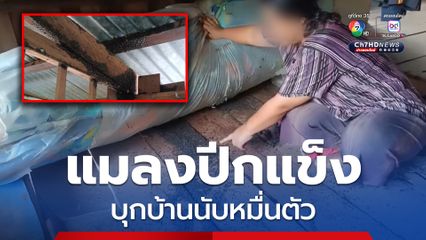 กองทัพแมลงปีกแข็ง บุกบ้านนับหมื่นตัว เจ้าของบ้านต้องหนีลงมานอนที่ชั้นล่าง 