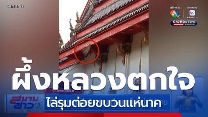 ผึ้งหลวงไล่รุมต่อยขบวนแห่นาค เจ็บกว่า 30 คน