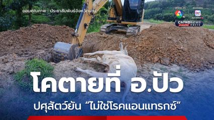 ปศุสัตว์น่านยัน  โคตายที่ อ.ปัว “ไม่ใช่โรคแอนแทรกซ์”