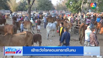 เฝ้าระวังโรคแอนแทรกซ์ในคน