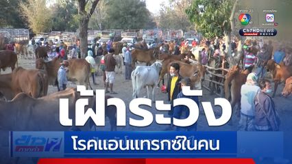 เฝ้าระวังโรคแอนแทรกซ์ในคน