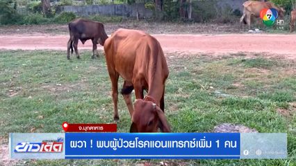 ผวา! พบผู้ป่วยโรคแอนแทรกซ์เพิ่ม 1 คน