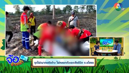 จุดไฟเผาตอซังข้าว ไฟคลอกตัวเองเสียชีวิต จ.ยโสธร