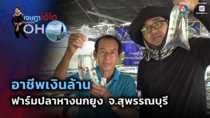 เจษฎาโอ้โฮ : อาชีพเงินล้าน ฟาร์มปลาหางนกยูง
