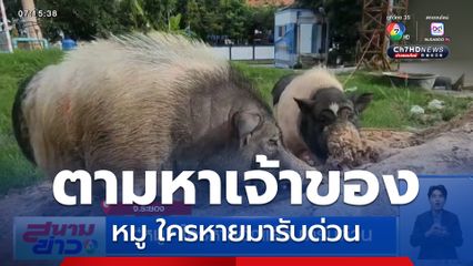 หมู ใครหายอีกแล้ว มารับด่วน จ.ระยอง