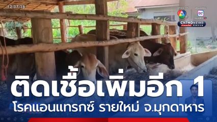 พบผู้ติดเชื้อแอนแทรกซ์อีก 1 คน จ.มุกดาหาร