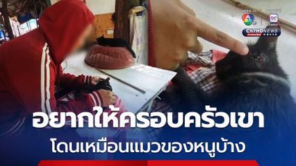 สุดสงสาร! ลูกแมววัย 3 เดือน โดนเพื่อนบ้านใช้ปืนอัดลมยิงหัว เลือดท่วม