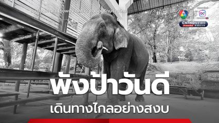 พังป้าวันดี กลับดาวช้าง เดินทางไกลอย่างสงบ