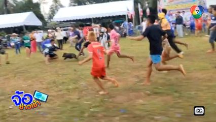 เฮลั่น ! เกมจับ หมูขี้พร้า