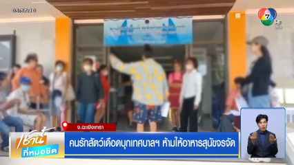 คนรักสัตว์เดือดบุกเทศบาลฯ ห้ามให้อาหารสุนัขจรจัด