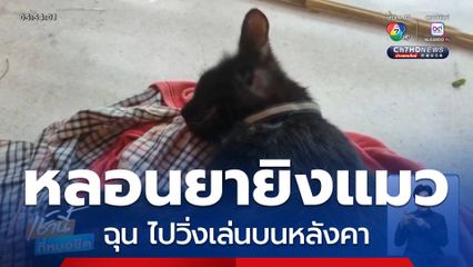 เจ้าของเศร้า เพื่อนบ้านหลอนยายิงแมว