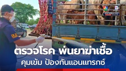 ปศุสัตว์คุมเข้ม ตลาดนัดค้าวัวควาย ป้องกันโรคแอนแทรกซ์