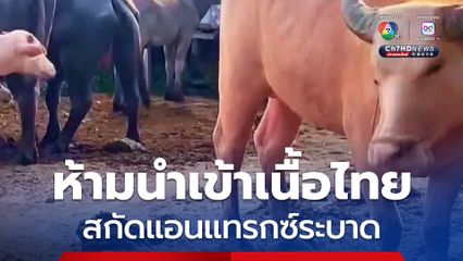 กัมพูชาระงับนำเข้าปศุสัตว์จากไทยชั่วคราว สกัดแอนแทรกซ์ระบาด