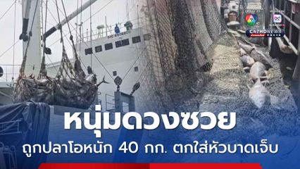 หนุ่มดวงซวย ถูกปลาโอหนัก 40 กก. ตกใส่หัวบาดเจ็บ