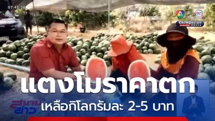 แตงโมหน้าสวน ราคาร่วงหนัก