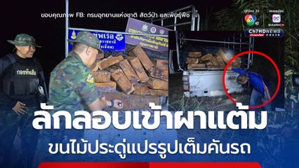 สกัดจับขบวนการมอดไม้ลักลอบขนไม้ประดู่ในอุทยานฯผาแต้ม