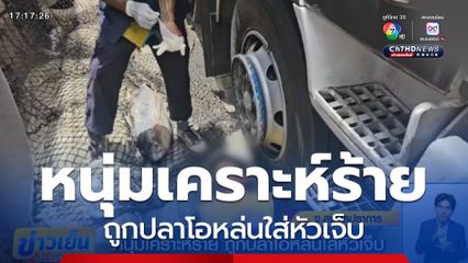 หนุ่มเคราะห์ร้าย ถูกปลาโอหล่นใส่หัวเจ็บ