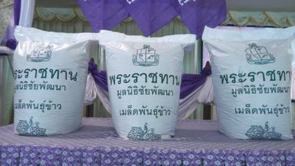 มูลนิธิชัยพัฒนา มอบเมล็ดพันธุ์ข้าวหอมมะลิ 105 แก่ทหารผ่านศึกนอกประจำการในจังหวัดสุรินทร์