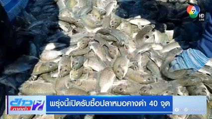 พรุ่งนี้เปิดรับซื้อปลาหมอคางดำ 40 จุด