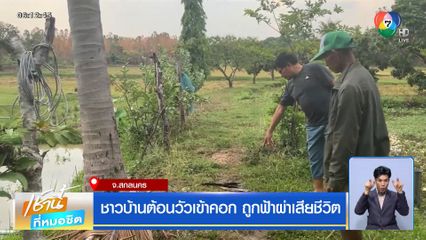 ชาวบ้านต้อนวัวเข้าคอก ถูกฟ้าผ่าเสียชีวิต