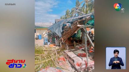 ทั้งฝนทั้งลม! พัดต้นมะพร้าวโค่นทับชาวบ้าน บาดเจ็บ 2 คน