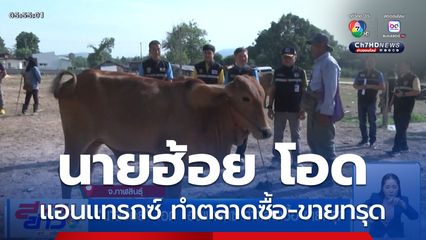 นายฮ้อย โอด แอนแทรกซ์ ทำตลาดซื้อ-ขายทรุด จ.กาฬสินธุ์