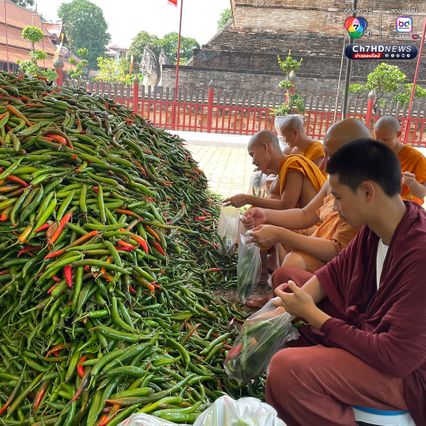 ทำบุญได้ผัก วัดแจกฟรี ! ผักกว่า 30 ตัน ให้ชาวพุทธที่เข้าวัด
