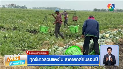 ทุกข์ชาวสวนแตงโม ราคาตกต่ำในรอบปี เกรด A เหลือกิโลละ 3 บาท