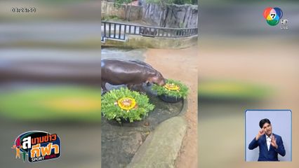 หมูเด้งฟันธง! ทำนายผลศึก เอล กลาซิโก้