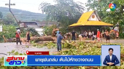 พายุฝนถล่ม ต้นไม้หักขวางถนน จ.พะเยา