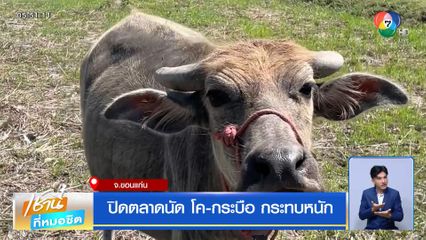 ปิดตลาดนัด โค-กระบือ กระทบหนัก